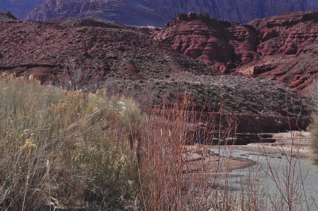 Paria Canyon Trail